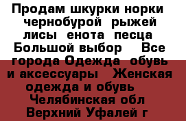 Продам шкурки норки, чернобурой, рыжей лисы, енота, песца. Большой выбор. - Все города Одежда, обувь и аксессуары » Женская одежда и обувь   . Челябинская обл.,Верхний Уфалей г.